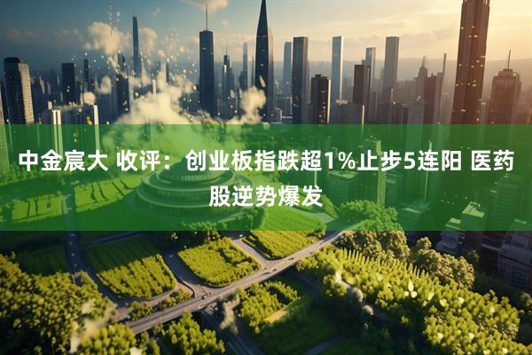 中金宸大 收评：创业板指跌超1%止步5连阳 医药股逆势爆发