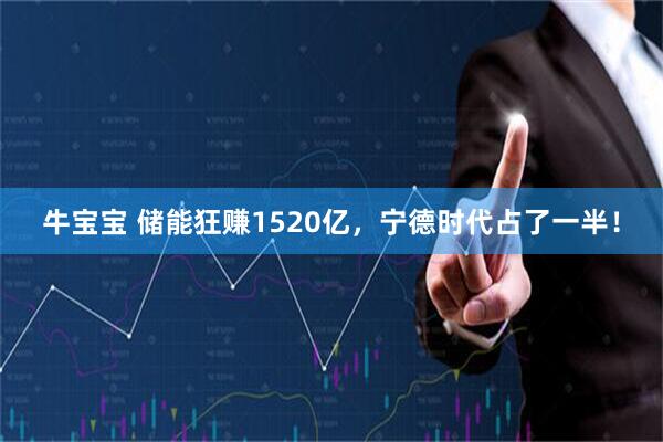 牛宝宝 储能狂赚1520亿，宁德时代占了一半！