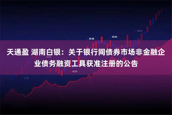 天通盈 湖南白银：关于银行间债券市场非金融企业债务融资工具获准注册的公告